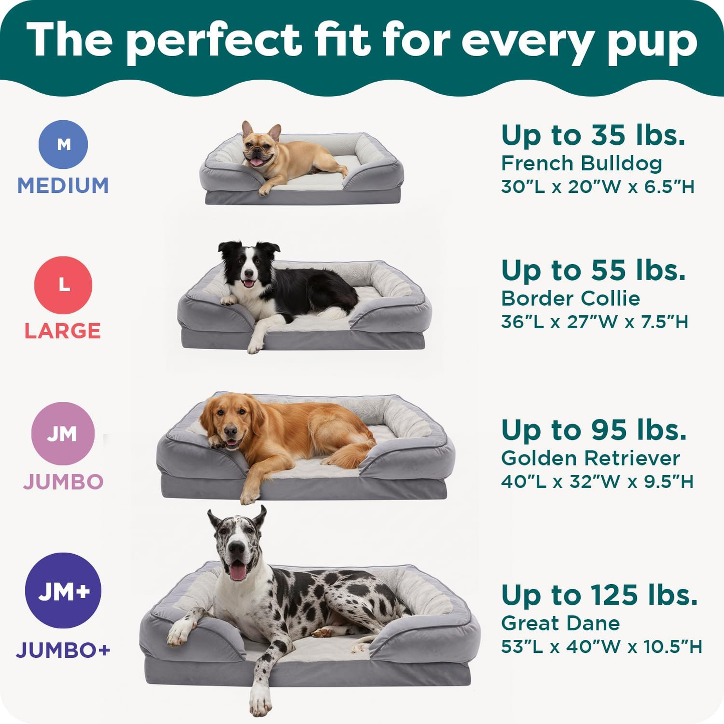 Memory Foam Dog Bed Large