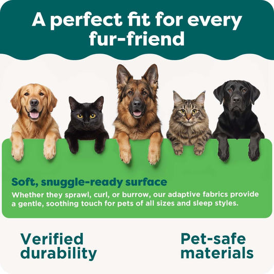 Memory Foam Dog Bed Large