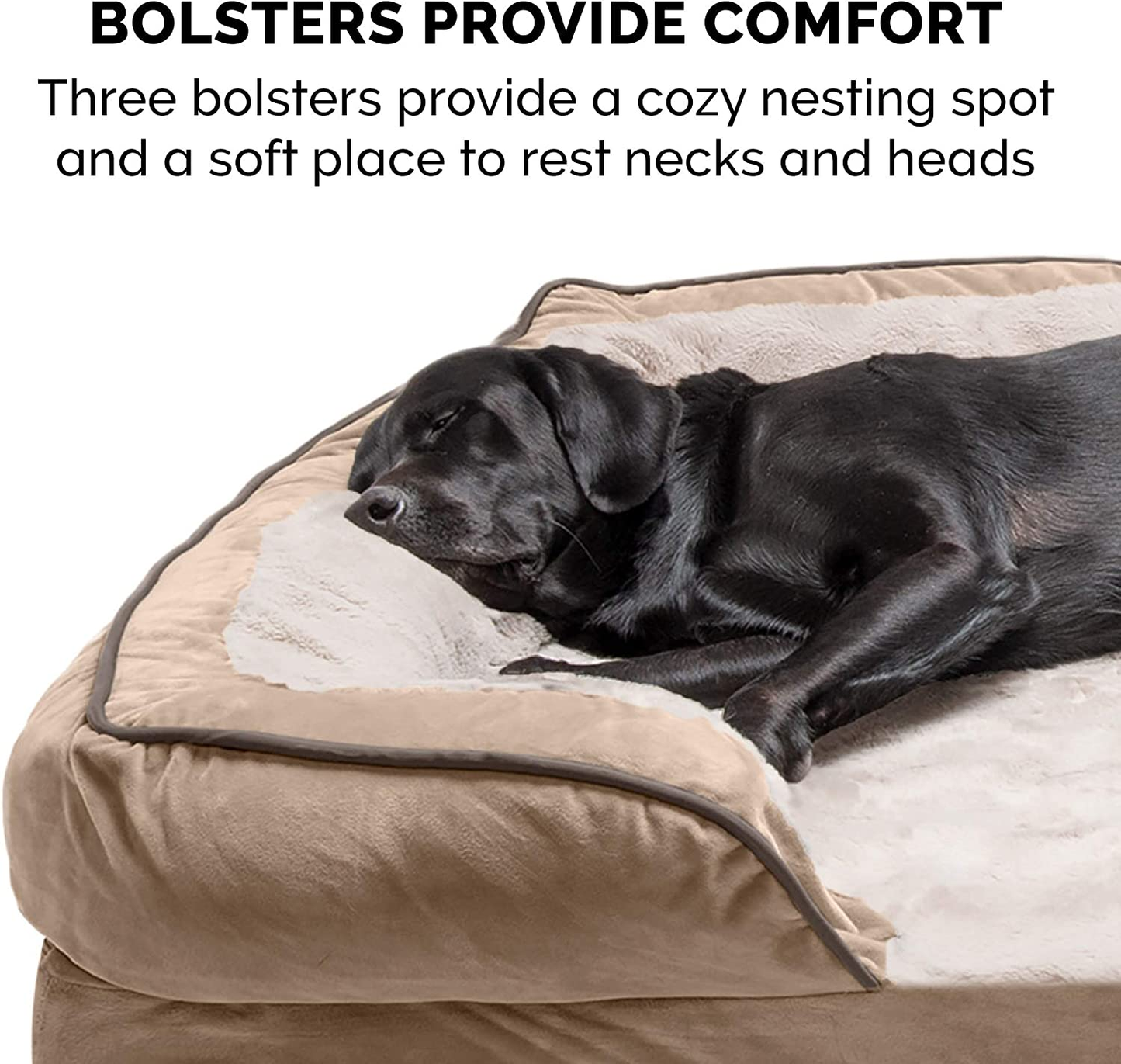 Memory Foam Dog Bed Large
